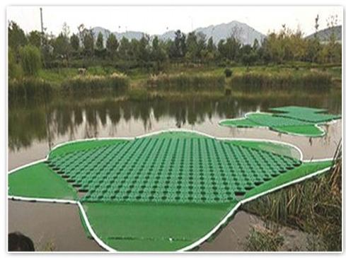 2026河北口碑好的水生植物供应商怎么选？这份避坑清单请收好