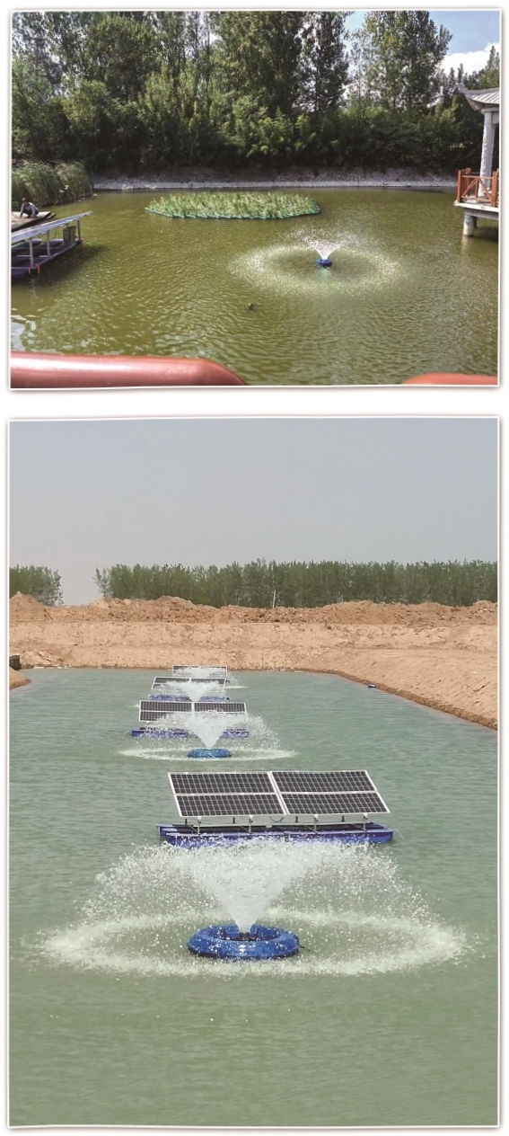 2026年雄安沉睡植物定制供货怎么选?从源头基地看交付底牌