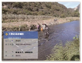 2026雄安新区水生植物供应商怎么选?口碑与供货能力是关键